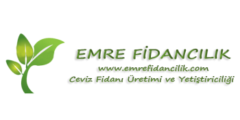 Emre Fidancılık - Ceviz Üretimi