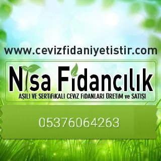 Nisa Fidancılık